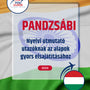 Language Guide For Punjabi in Hungarian